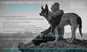 Black and White Image of a dog and person, annotated with coronavirus advice