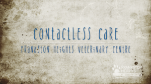 Title Page for our ContaclessCare COVIDeo