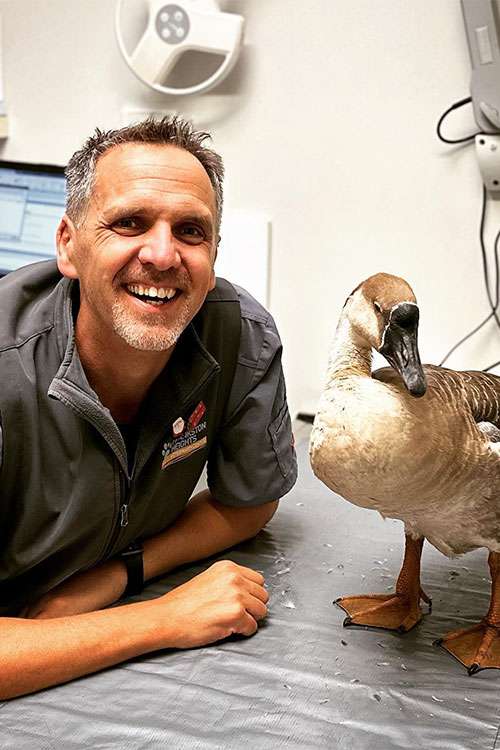 Frankston Heights Vets - Dr Will and Clancy the Gander