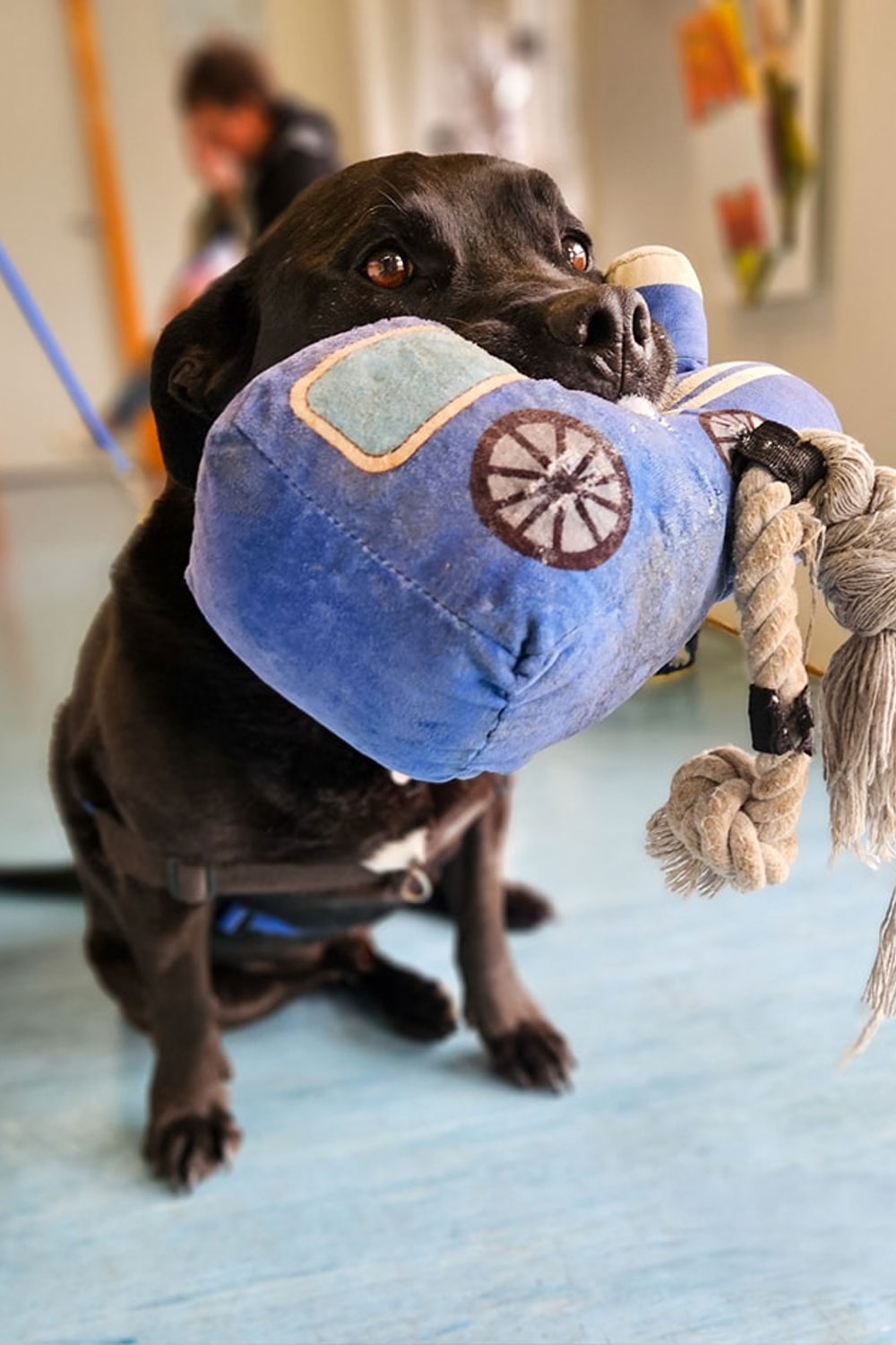 Frankston Heights Vets - Our Facility