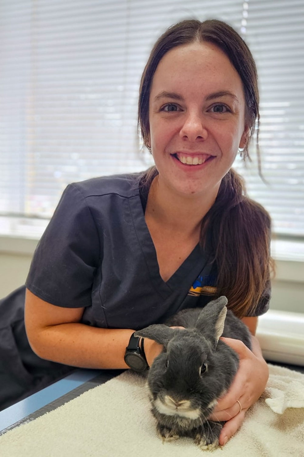 Frankston Heights Vet - Veterinary consultations