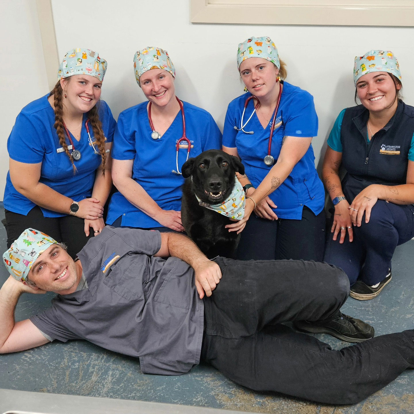 Frankston Heights Vet - Contact Us