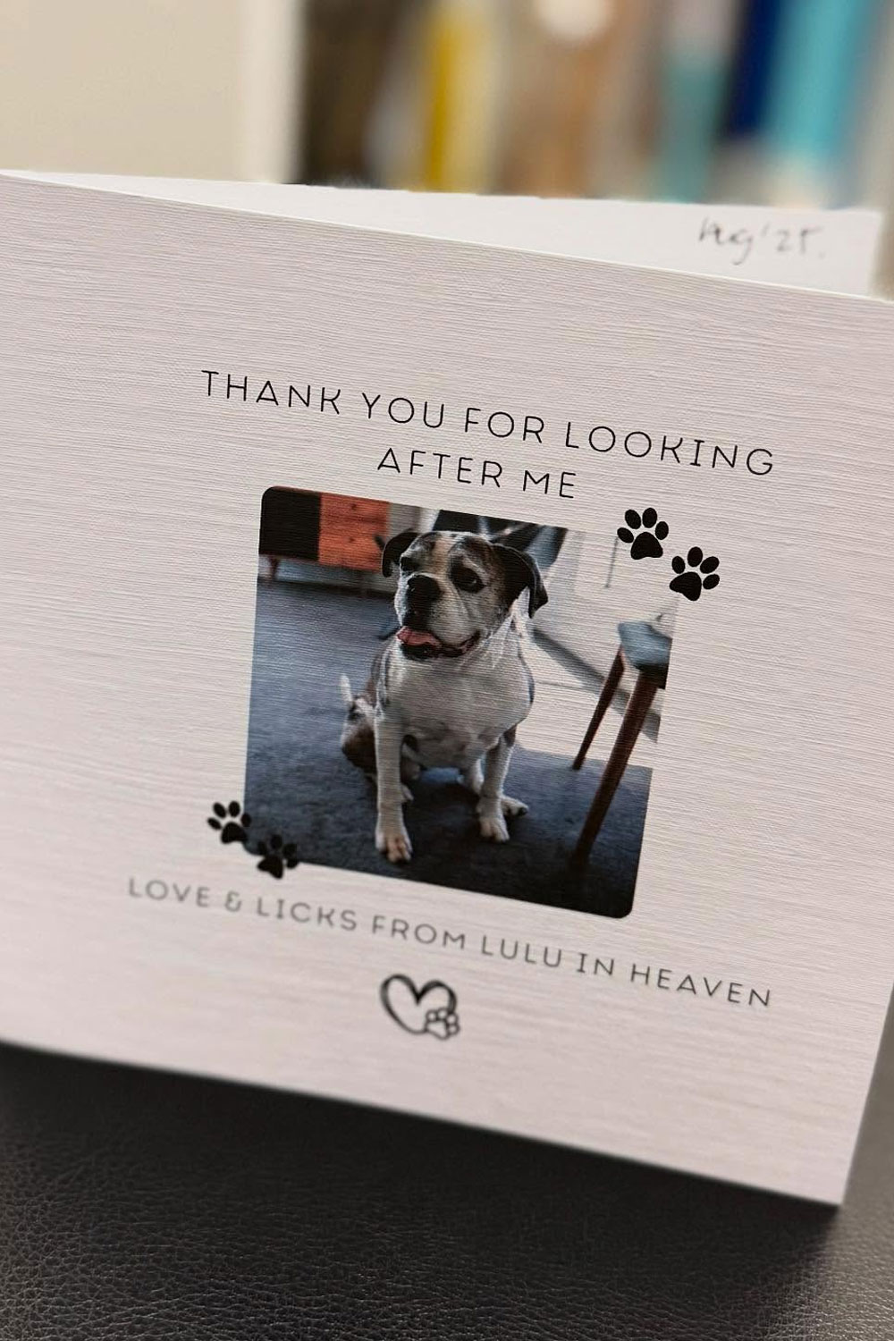 Frankston Heights Vet - End of Life Care